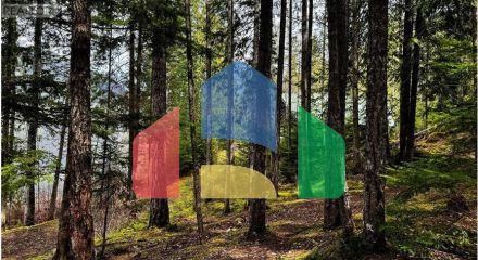 Residential - Single Family Home - Sicamous, Canada - Canada