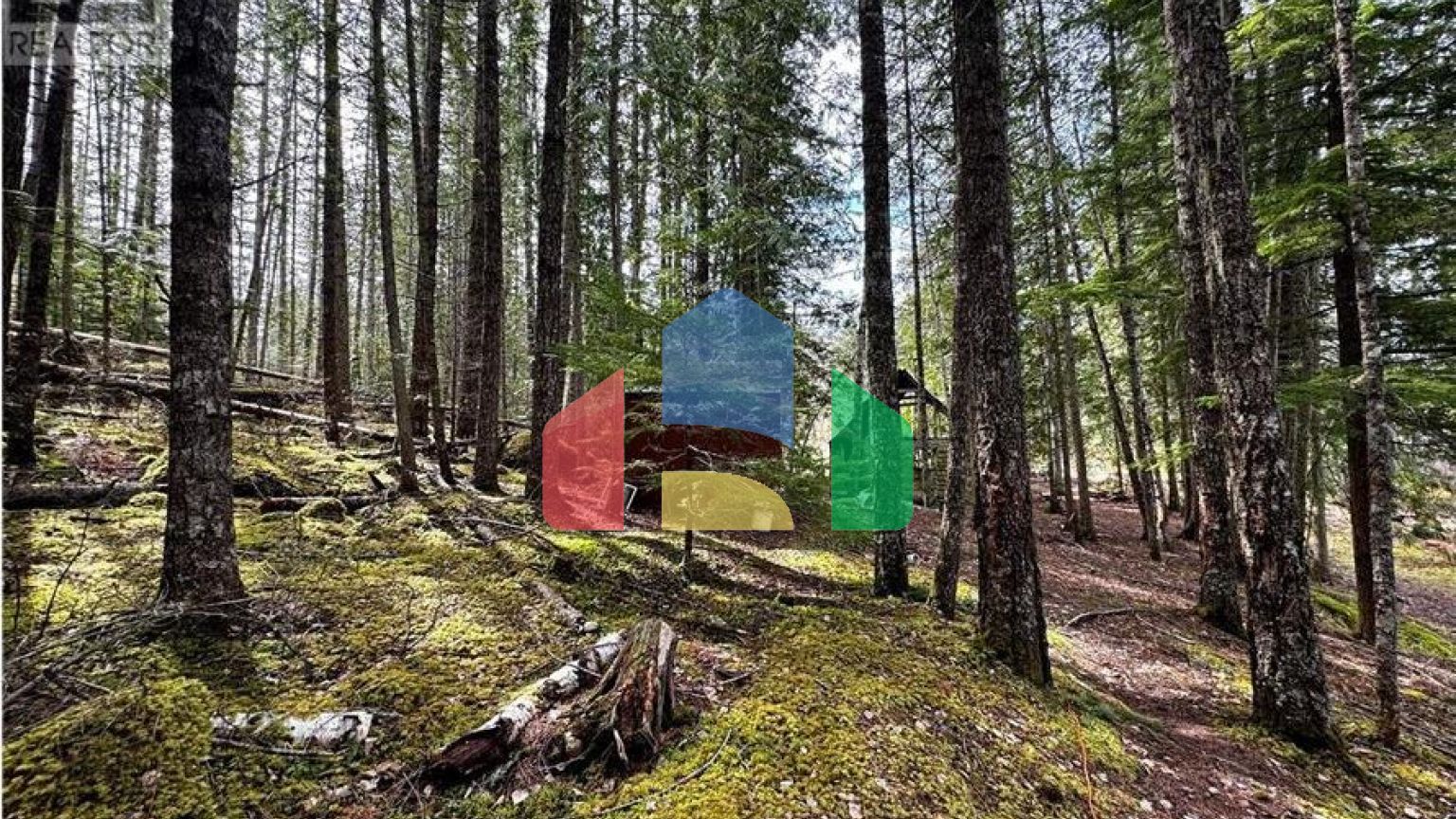 Residential - Single Family Home - Sicamous, Canada - Canada