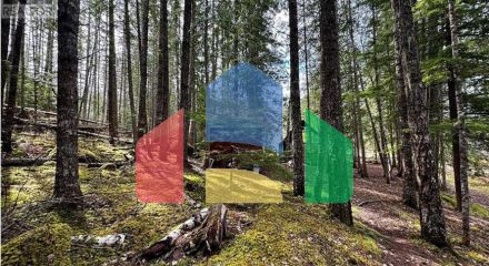 Residential - Single Family Home - Sicamous, Canada - Canada