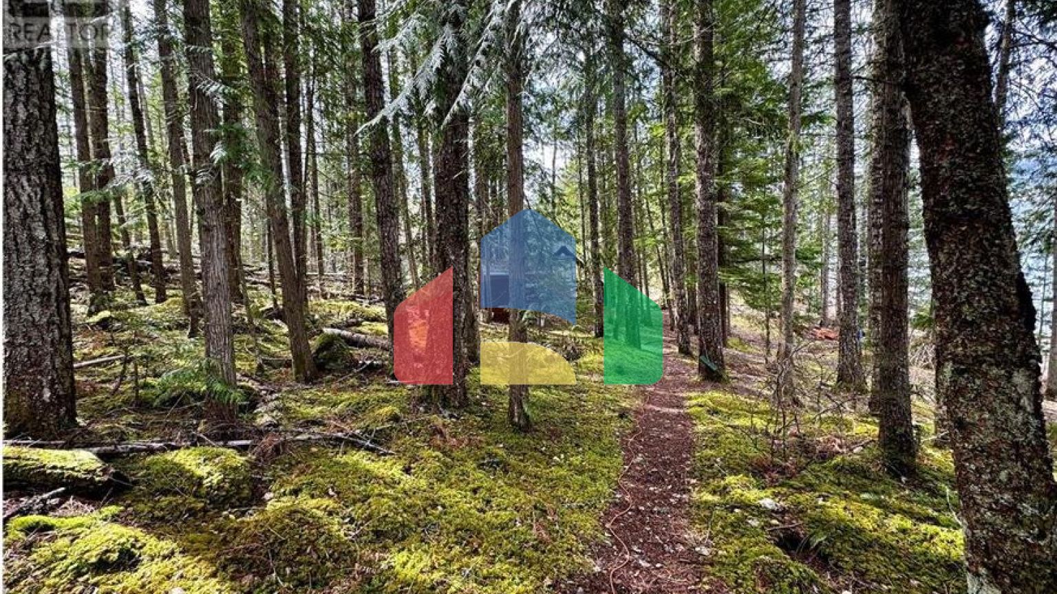 Residential - Single Family Home - Sicamous, Canada - Canada