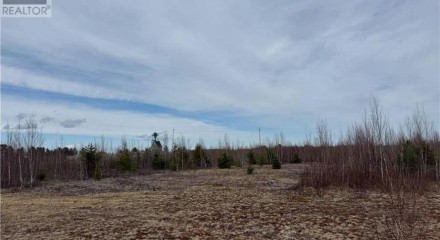 Commercial - Commercial/Retail - Blackville, Canada - Canada
