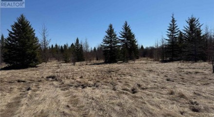 Residential - Vacant Land - Harty, Canada - Canada