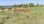 Residential - Plot of Land for Hospitality Development - Kiparisia, Peloponisos - Greece