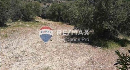 Residential - Plot of Land for Hospitality Development - Agias Varvaras, Creta Island - Greece