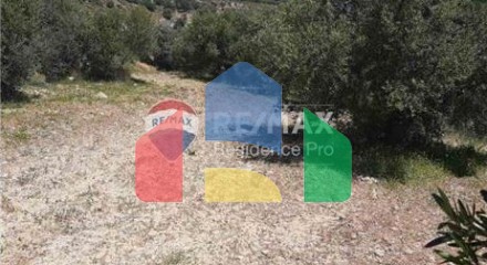 Residential - Plot of Land for Hospitality Development - Agias Varvaras, Creta Island - Greece