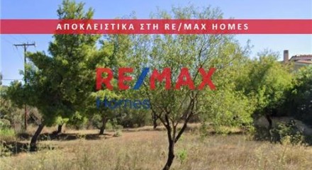 Residential - Plot of Land for Hospitality Development - Palaias Fokaias, Attica - Greece