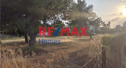 Residential - Plot of Land for Hospitality Development - Palaias Fokaias, Attica - Greece