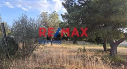 Residential - Plot of Land for Hospitality Development - Palaias Fokaias, Attica - Greece