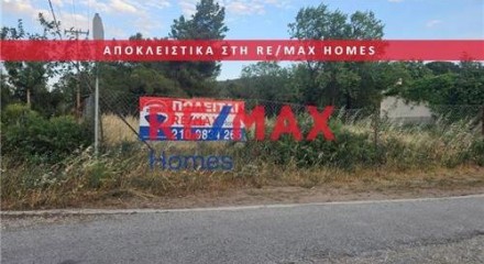 Residential - Plot of Land for Hospitality Development - Palaias Fokaias, Attica - Greece
