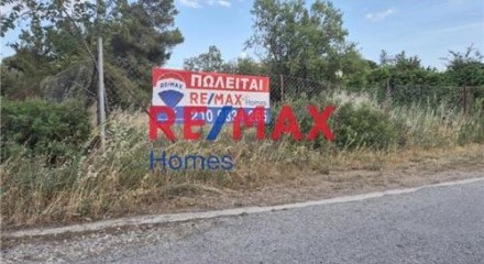 Residential - Plot of Land for Hospitality Development - Palaias Fokaias, Attica - Greece