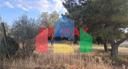 Residential - Plot of Land for Hospitality Development - Palaias Fokaias, Attica - Greece