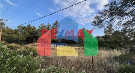 Residential - Plot of Land for Hospitality Development - Palaias Fokaias, Attica - Greece