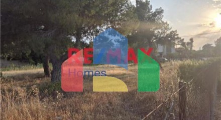 Residential - Plot of Land for Hospitality Development - Palaias Fokaias, Attica - Greece