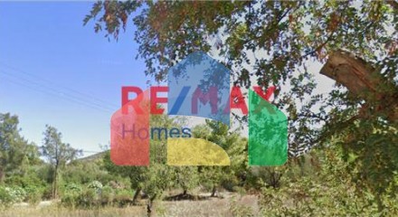 Residential - Plot of Land for Hospitality Development - Palaias Fokaias, Attica - Greece