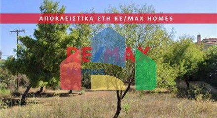 Residential - Plot of Land for Hospitality Development - Palaias Fokaias, Attica - Greece