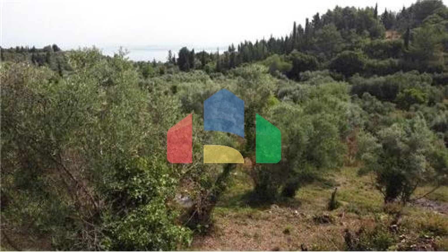 Commercial - Land - Lefkadas, Ionian Islands - Greece