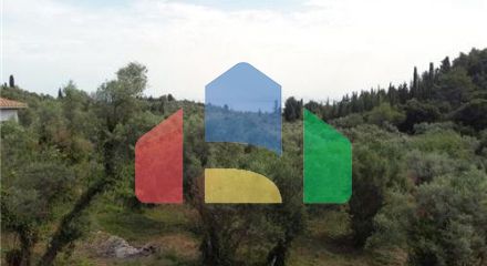 Commercial - Land - Lefkadas, Ionian Islands - Greece