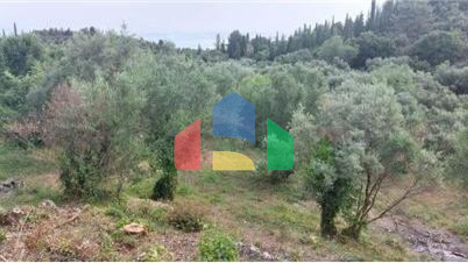 Commercial - Land - Lefkadas, Ionian Islands - Greece