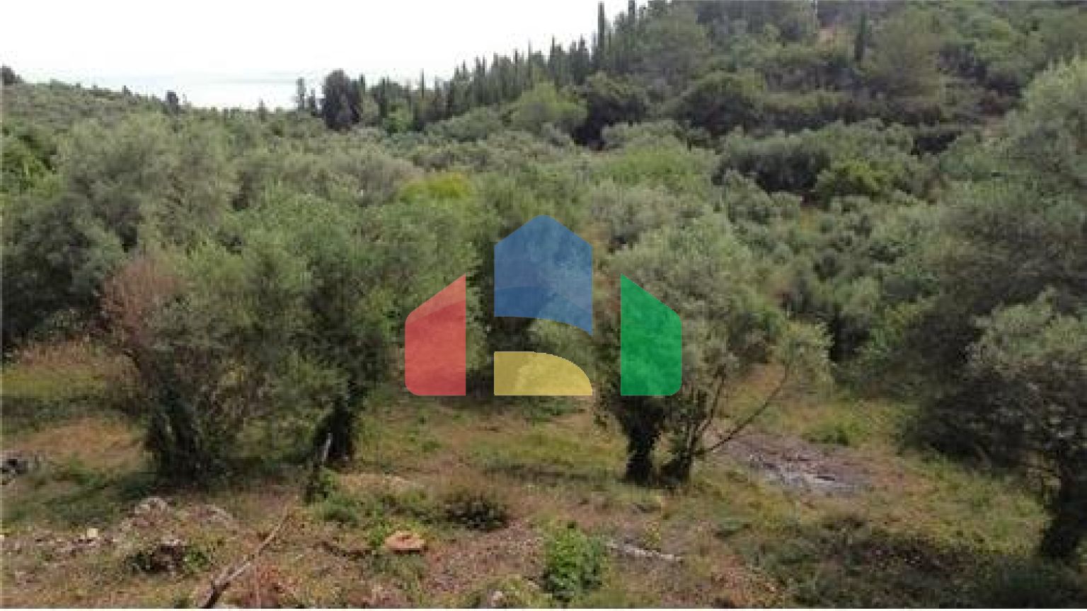 Commercial - Land - Lefkadas, Ionian Islands - Greece