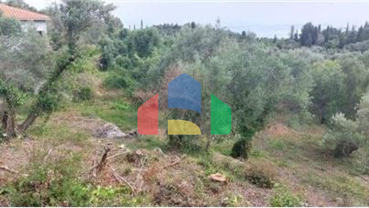 Commercial - Land - Lefkadas, Ionian Islands - Greece