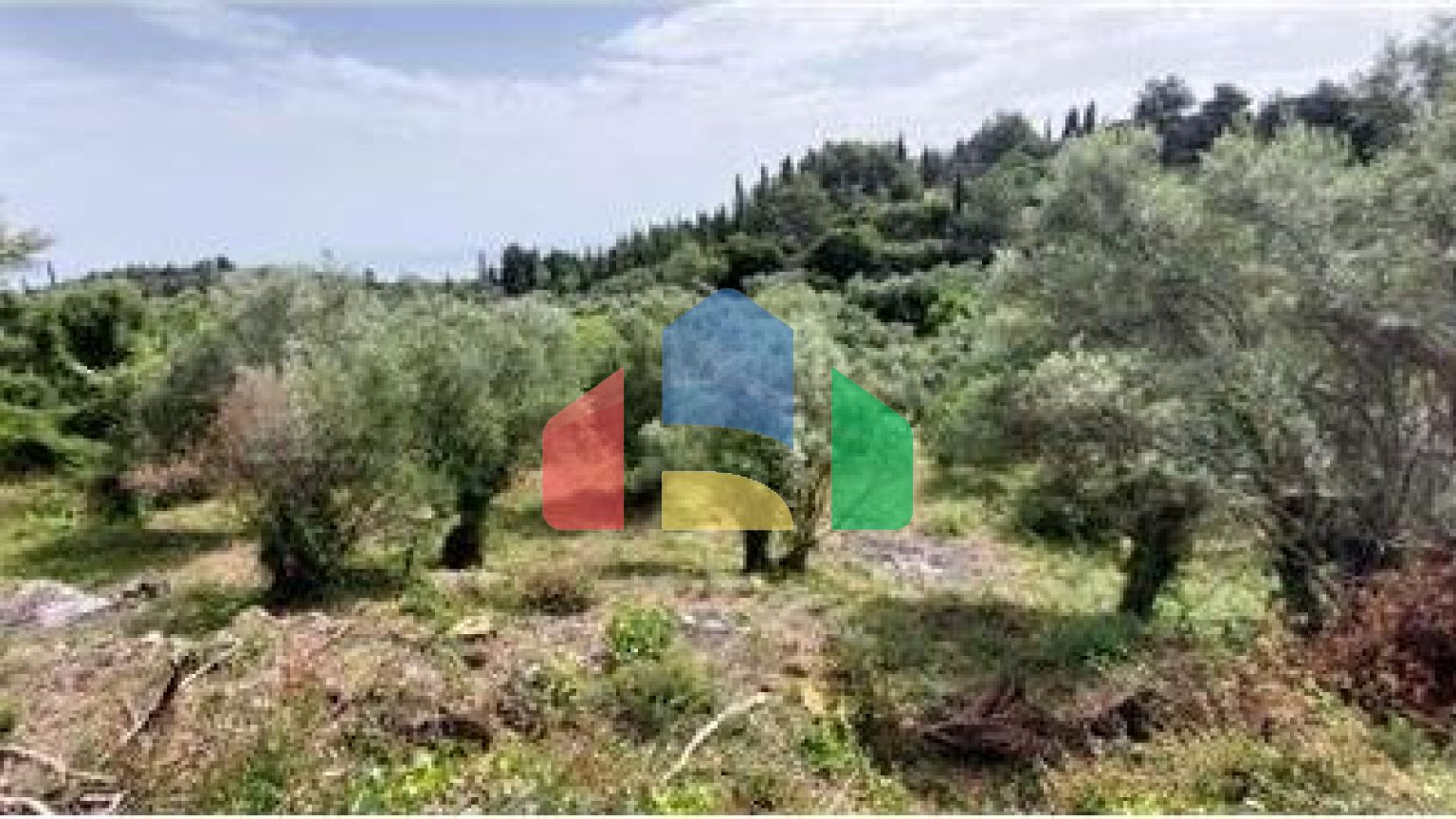 Commercial - Land - Lefkadas, Ionian Islands - Greece