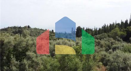 Commercial - Land - Lefkadas, Ionian Islands - Greece