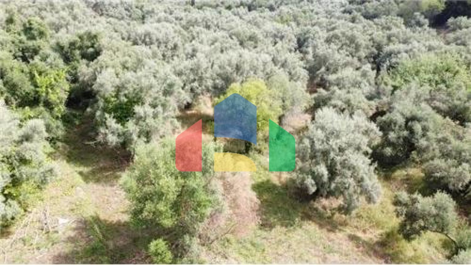 Commercial - Land - Lefkadas, Ionian Islands - Greece