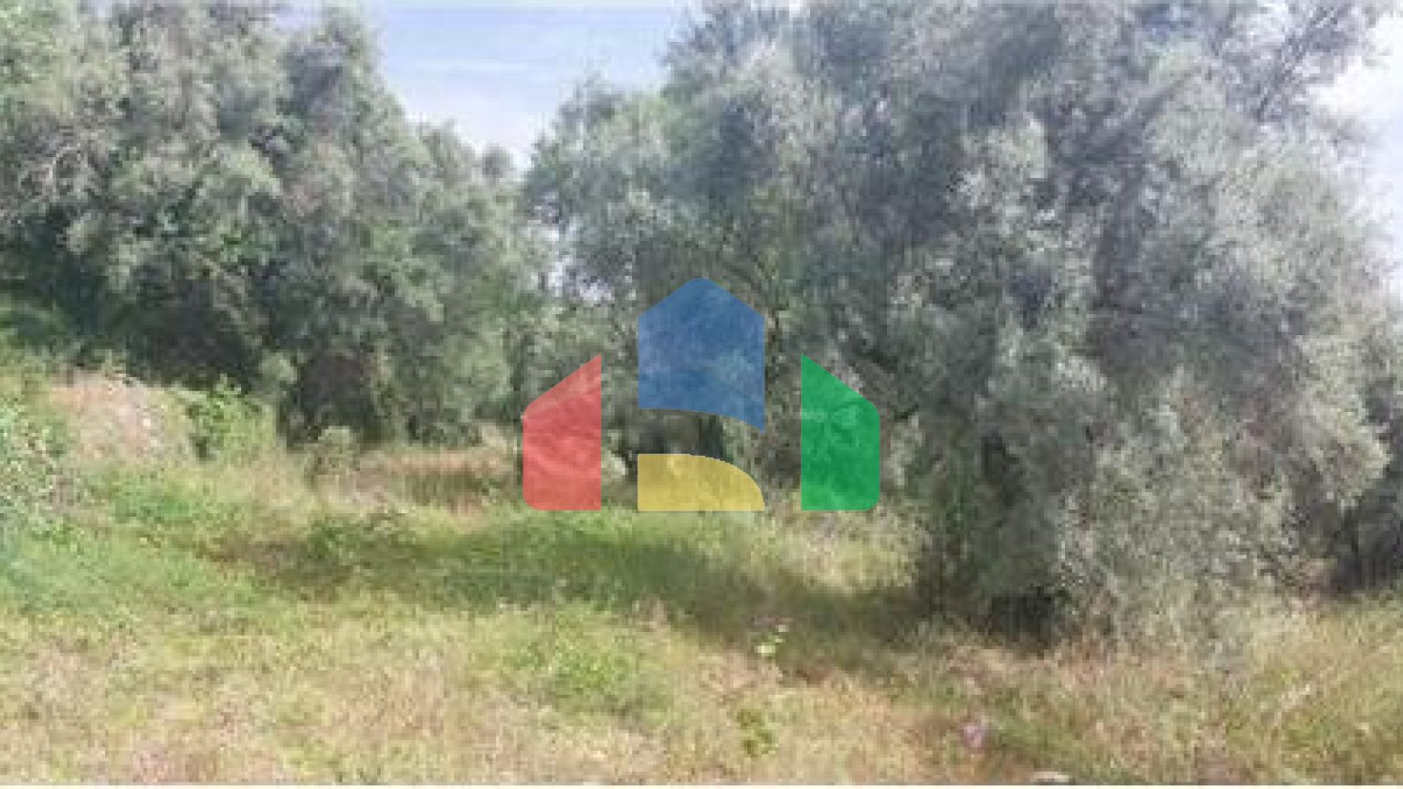 Commercial - Land - Lefkadas, Ionian Islands - Greece