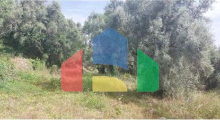 Commercial - Land - Lefkadas, Ionian Islands - Greece