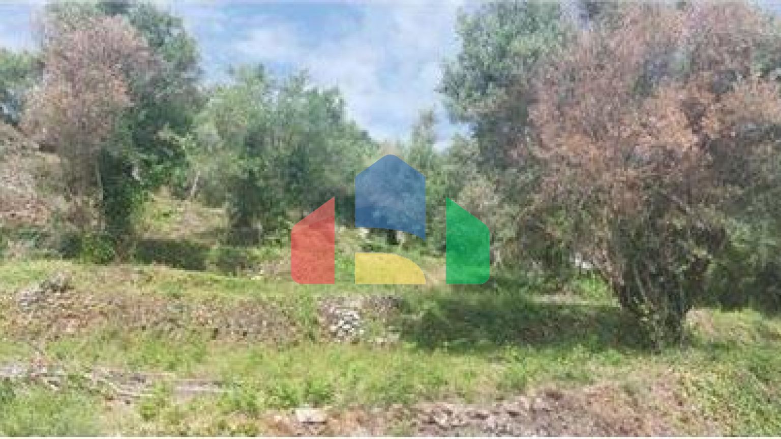 Commercial - Land - Lefkadas, Ionian Islands - Greece