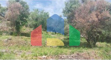 Commercial - Land - Lefkadas, Ionian Islands - Greece