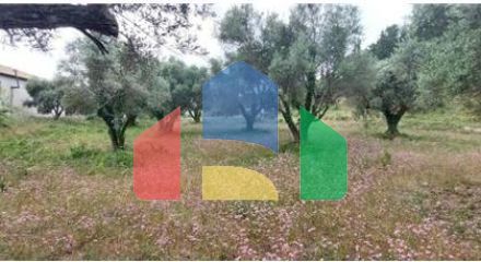 Commercial - Land - Lefkadas, Ionian Islands - Greece