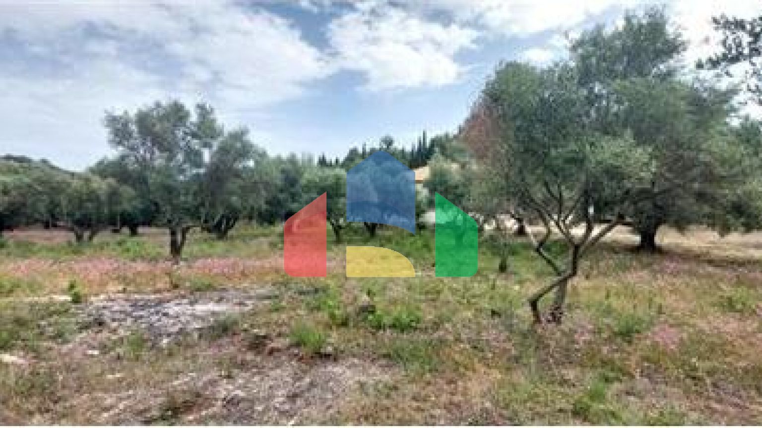 Commercial - Land - Lefkadas, Ionian Islands - Greece