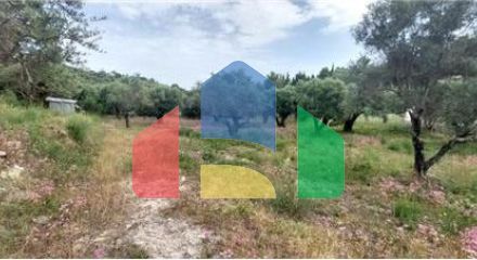 Commercial - Land - Lefkadas, Ionian Islands - Greece
