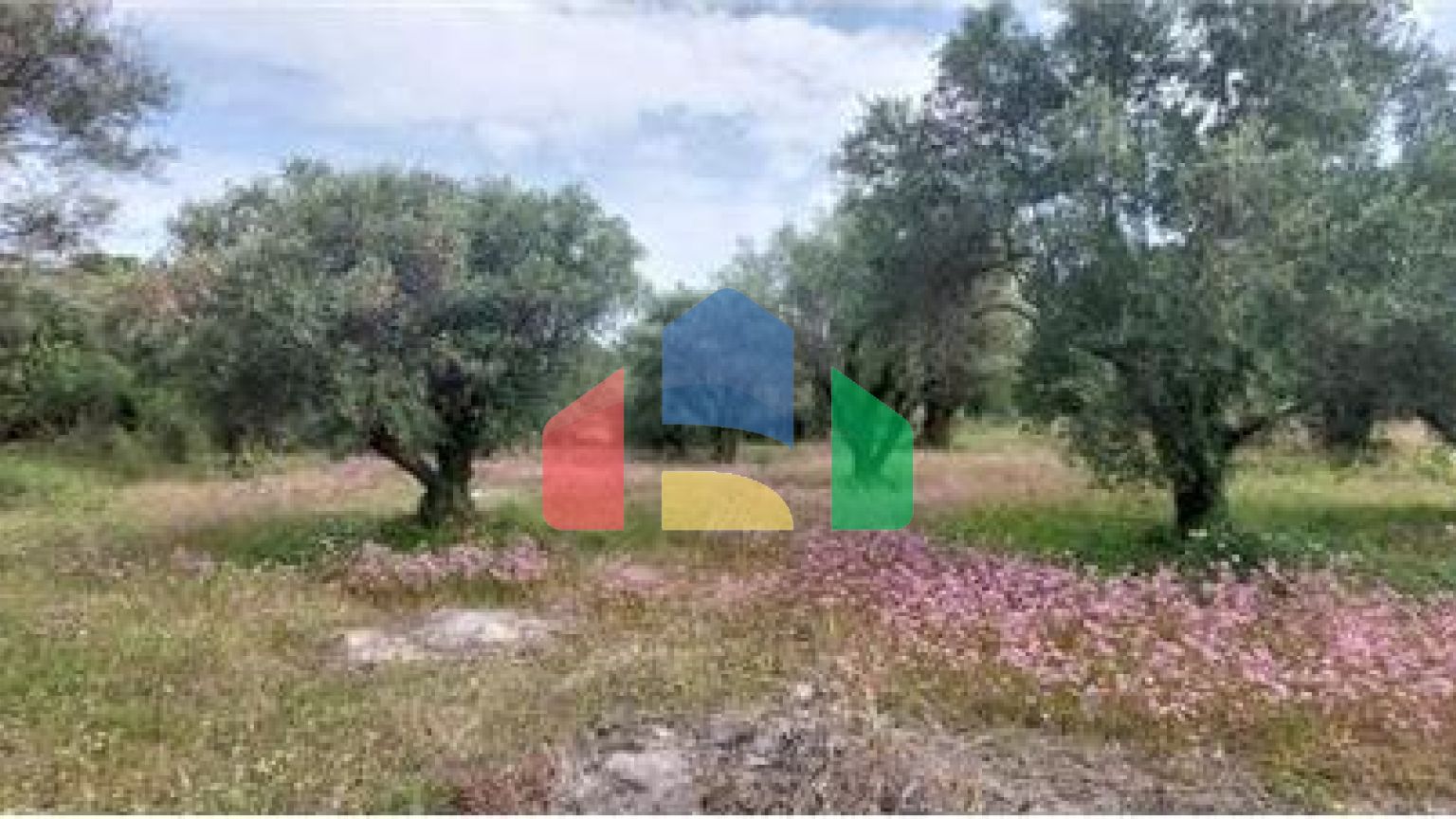 Commercial - Land - Lefkadas, Ionian Islands - Greece