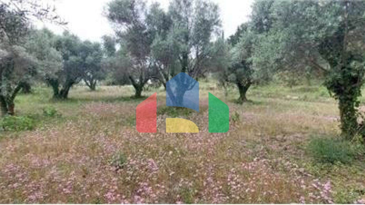 Commercial - Land - Lefkadas, Ionian Islands - Greece