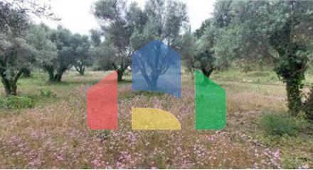 Commercial - Land - Lefkadas, Ionian Islands - Greece