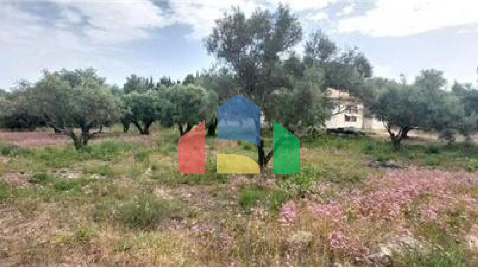 Commercial - Land - Lefkadas, Ionian Islands - Greece