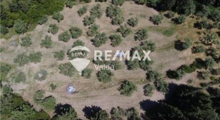 Commercial - Land - Lefkadas, Ionian Islands - Greece