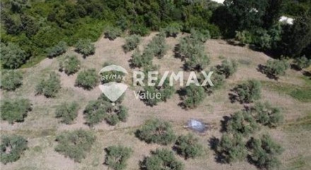 Commercial - Land - Lefkadas, Ionian Islands - Greece
