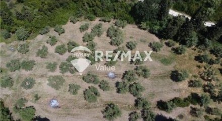 Commercial - Land - Lefkadas, Ionian Islands - Greece