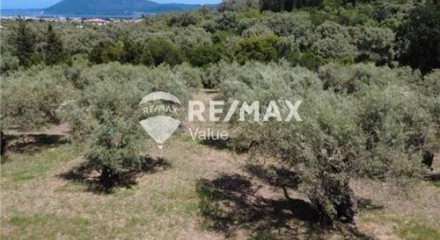 Commercial - Land - Lefkadas, Ionian Islands - Greece