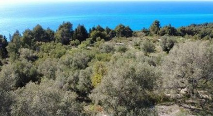 Commercial - Land - Lefkadas, Ionian Islands - Greece