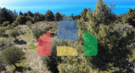 Commercial - Land - Lefkadas, Ionian Islands - Greece