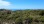 Commercial - Land - Lefkadas, Ionian Islands - Greece
