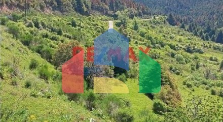 Commercial - Other - Kalabritsa, Peloponisos - Greece