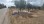 Commercial - Land - Gouvion, Creta Island - Greece