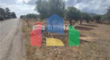 Commercial - Land - Gouvion, Creta Island - Greece