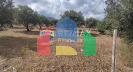 Commercial - Land - Gouvion, Creta Island - Greece
