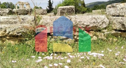Residential - Plot of Land for Hospitality Development - Nemea, Peloponisos - Greece
